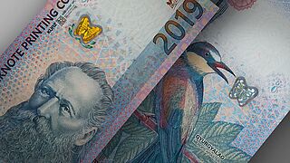 Close-up of KINEGRAM® APL sample with a butterfly design