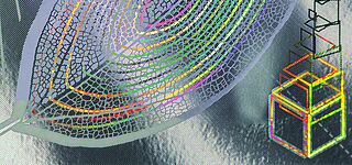 Close-up of a KINEGRAM® security feature showing a finely structured leaf in extremely high resolution